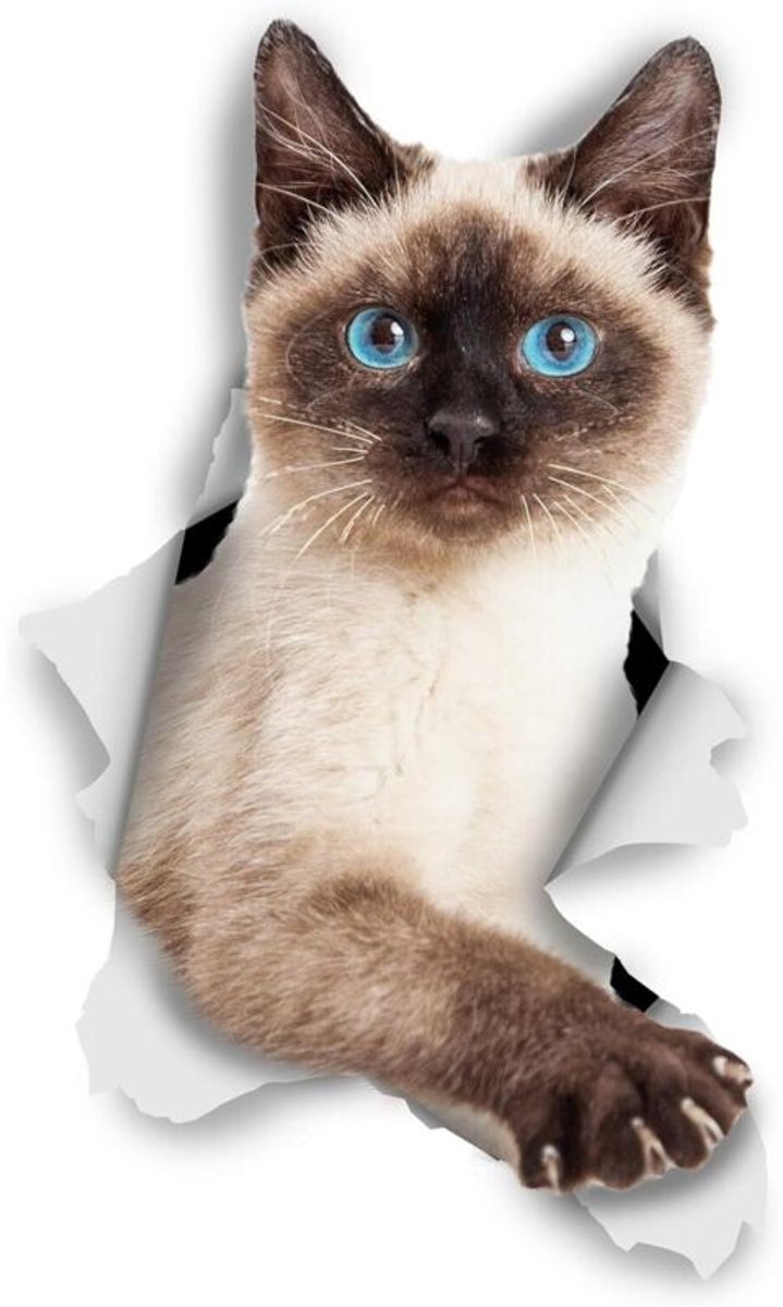 3D Muurstickers geschikt voor Katten - Set van 2 - Leuke Decoratieve Stickers - Siamese Kitten Stickers, geschikt voor muren, koelkasten, badkamers en kamers. Afgeschikt vooringen: 7 x 12 cm
