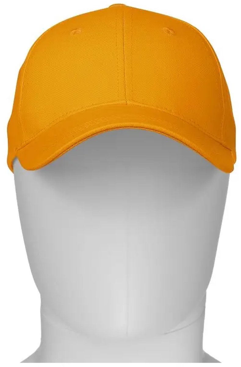 Baseball cap Payper Wear Illinois