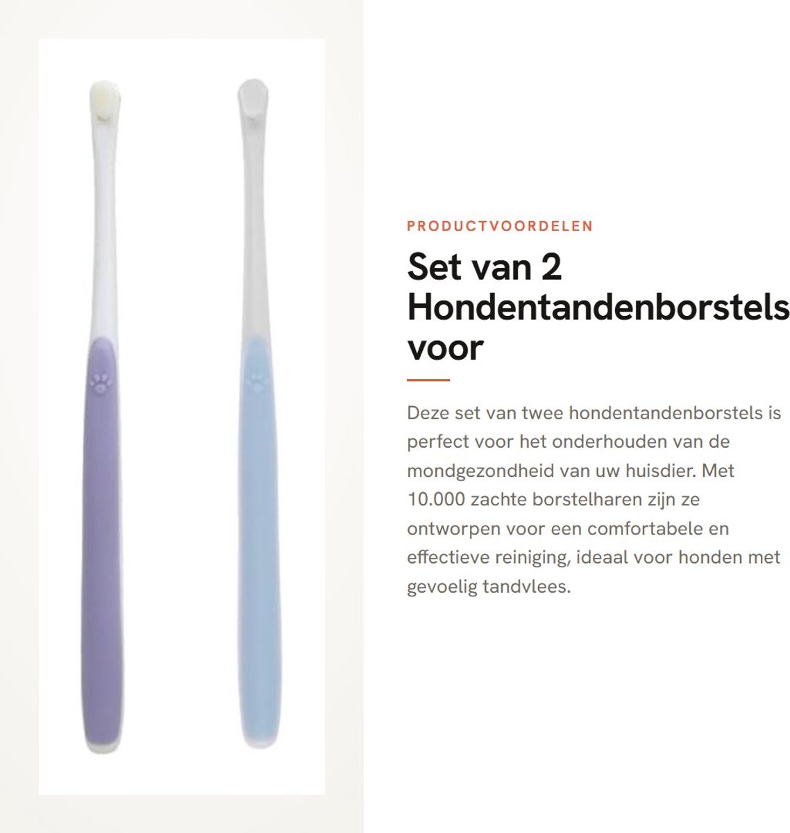 Dailygoods- Hondentandenborstel 2 stuks - Zachte Borstelharen 10.000 - Tandenreinigingsborstels - Geschikt voor Katten/Puppy's - Compacte Borstelkop - Hoogwaardig Materiaal - Tandenborstel