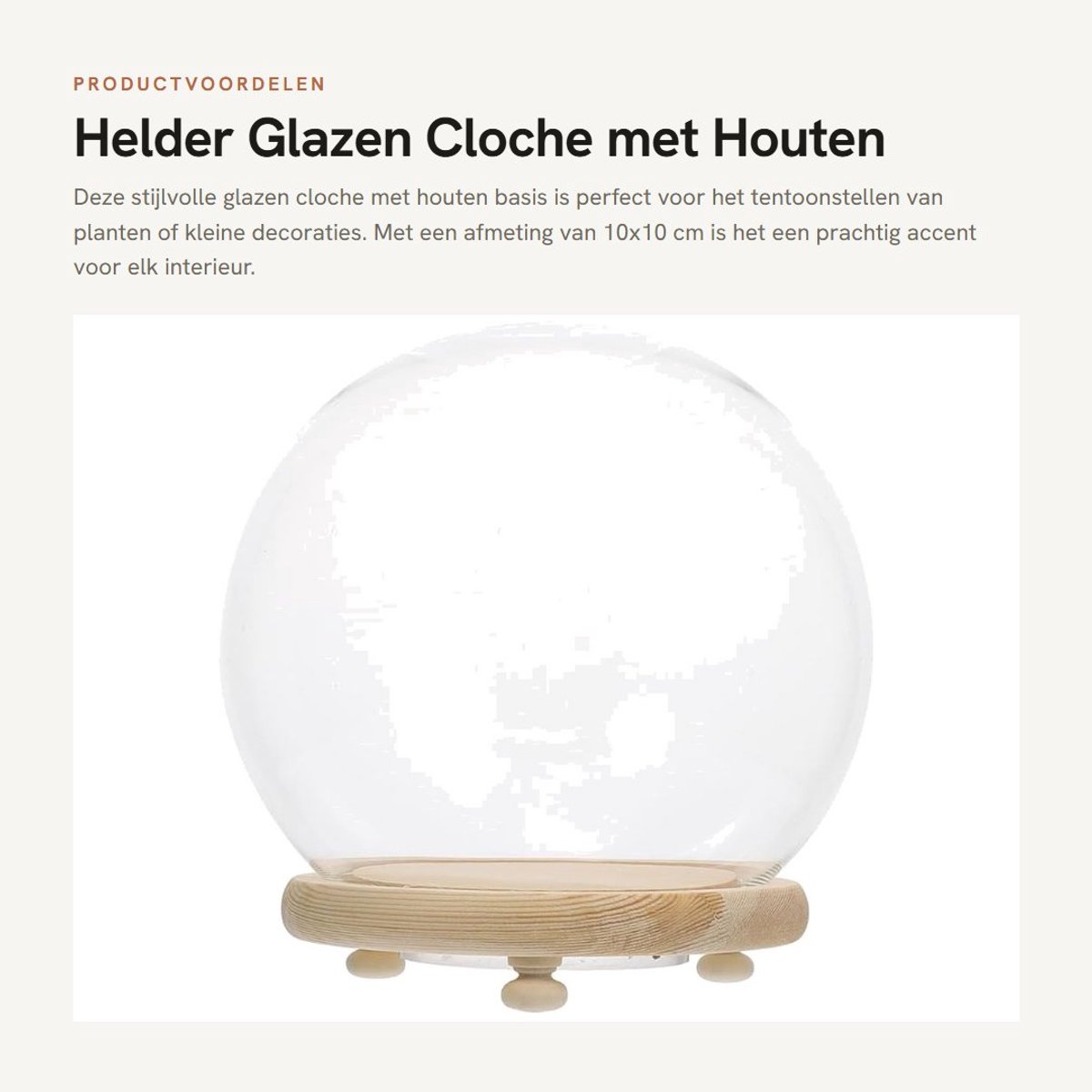Dailygoods - Helder Glazen Cloche met Houten Bodem voor Decoratie