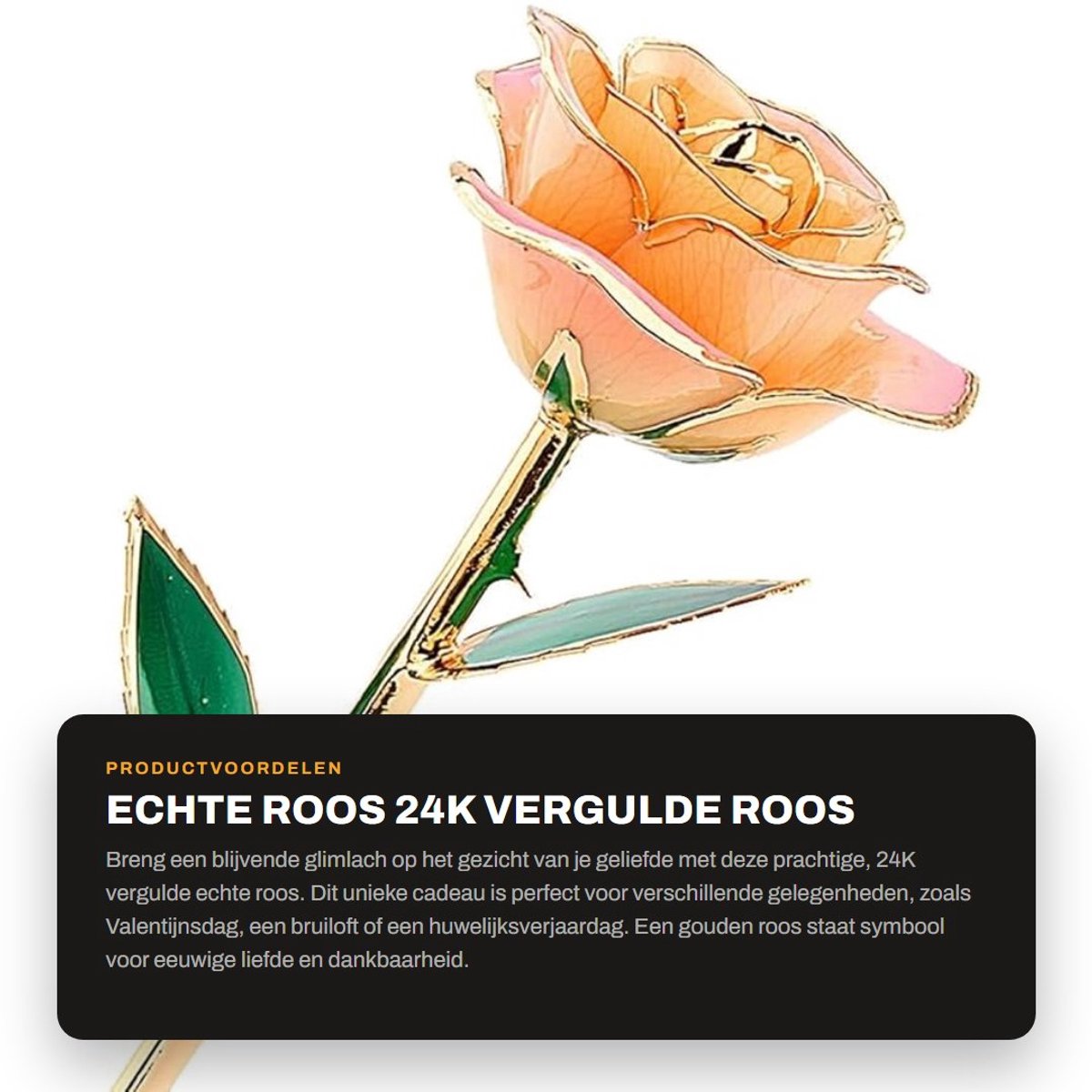 Dailygoods- Gouden Roos 24-karaats - Echte Roos - Vergulde Roos - Valentijnsdag - Huwelijksverjaardag - Voor Altijd Bloeiend - Bloem