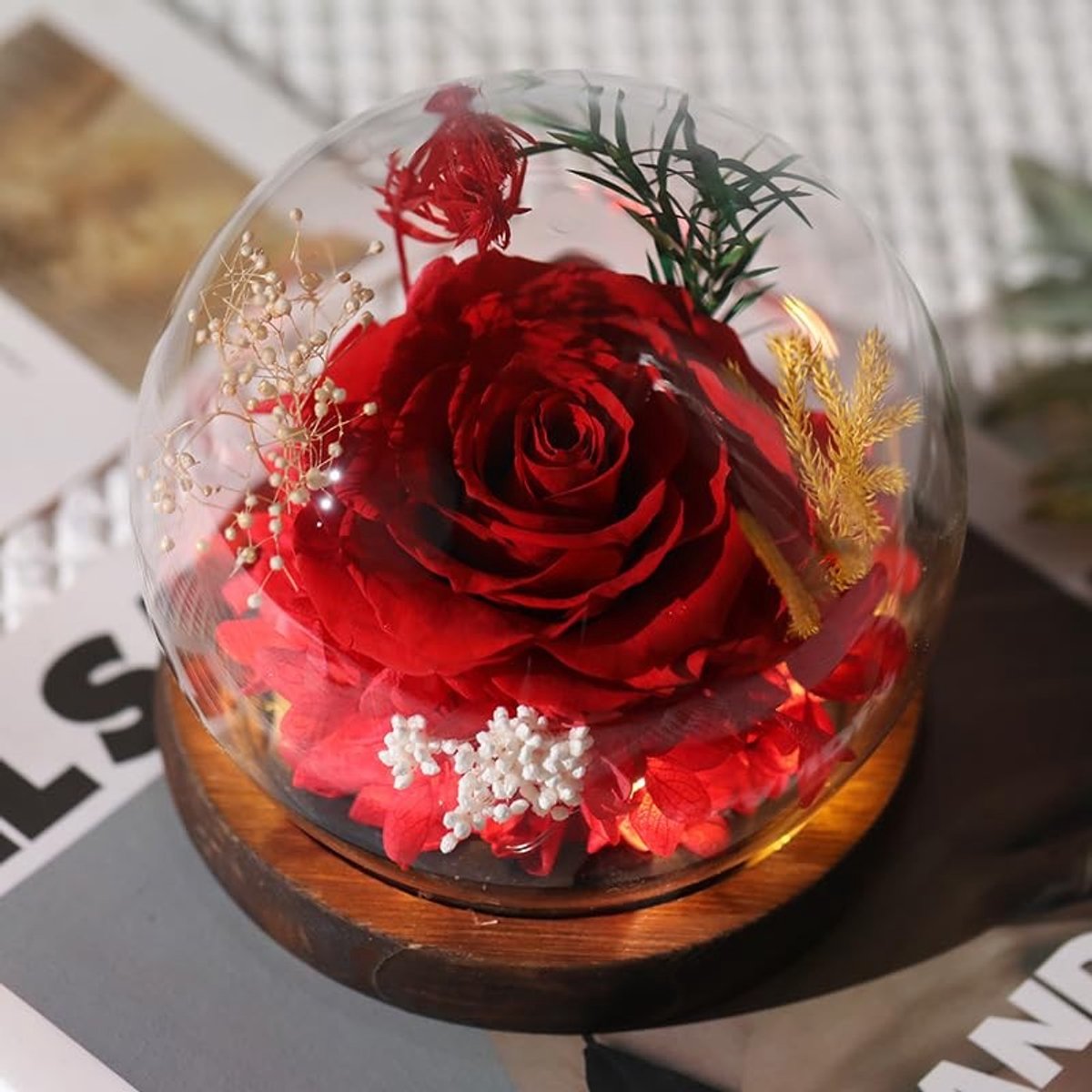 Dailygoods - Eeuwige Roos in Glazen Kap met Houten Sokkel als Cadeau