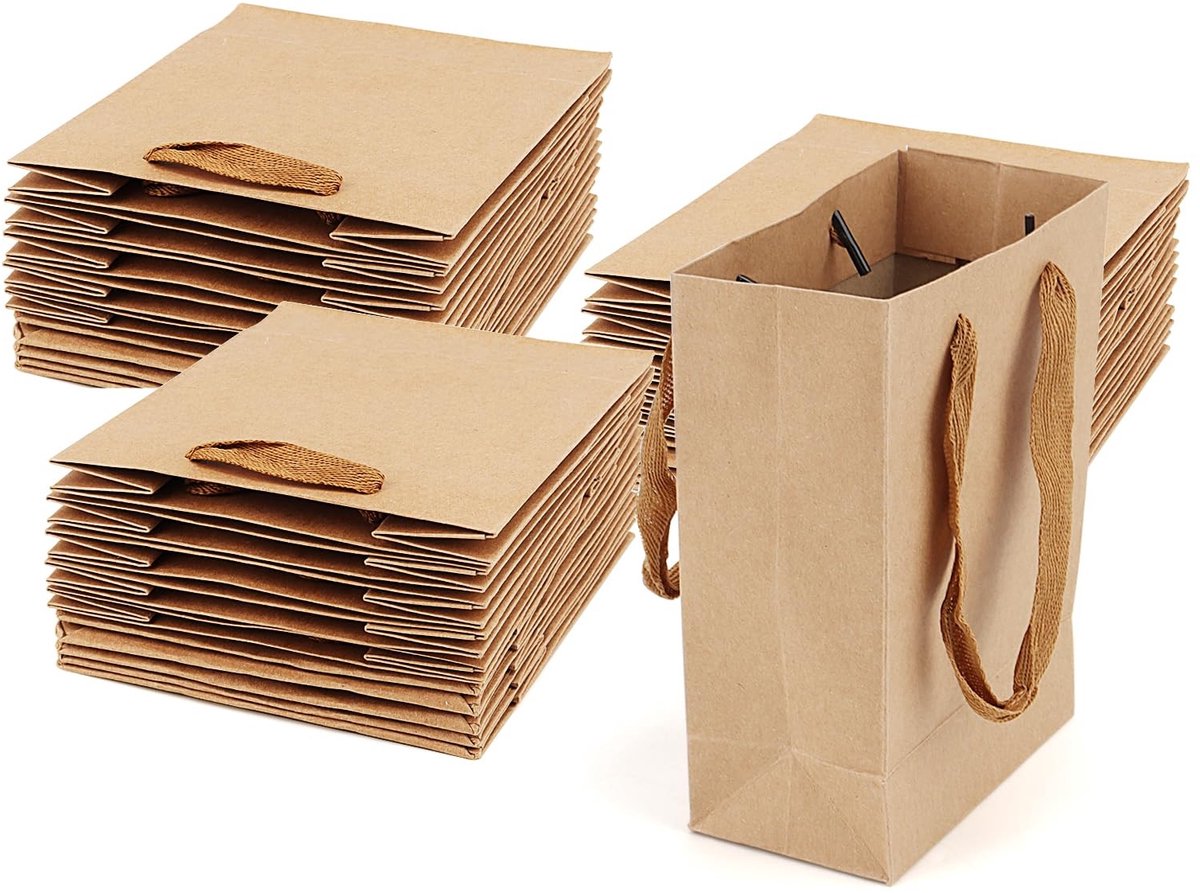 Dailygoods- Geschenkzakken 30 stuks - Kraft Papieren Zak - Bruine Feestzakken - 12 x 6 x 17 cm - Handvat - Perfect voor Verjaardag/Bruiloft - Feestzakjes