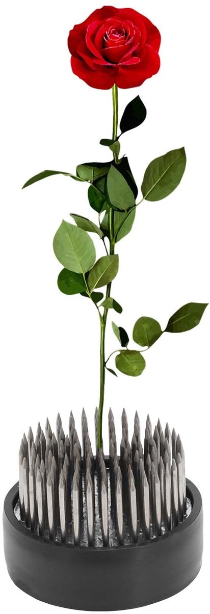 Dailygoods- Bloemenkikker - Roestvrij Staal - Kikker met Pen 46 mm - Bloemstukken - Tafelopzetstukken - Duurzaam Ontwerp - Bloemschikking