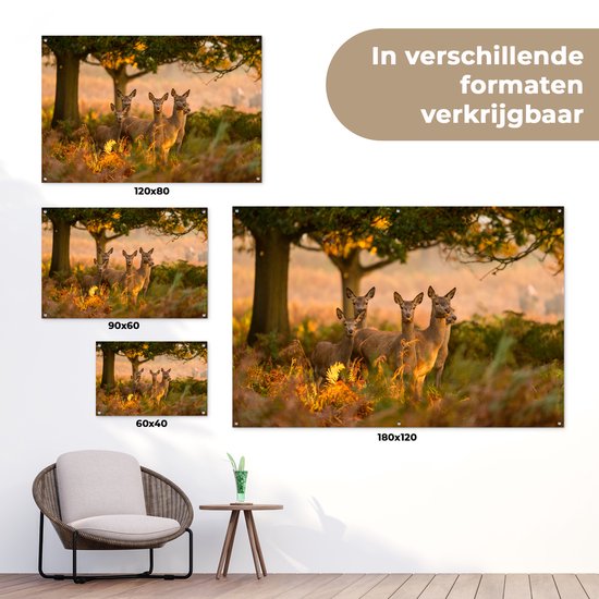 Tuinposter 120x80 cm - Tuindecoratie Herfst - Zon - Herten - Poster voor in de tuin - Buiten decoratie - Schutting tuinschilderij - Tuindoek muurdecoratie - Wanddecoratie balkondoek