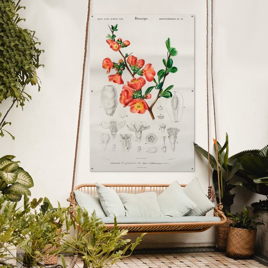 Décoration murale Plante - Vintage - Botanica - 120x180 cm - Affiche jardin - Toile jardin