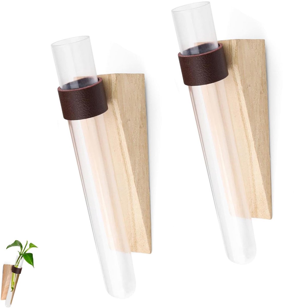 Dailygoody - Propagatiestation - Reageerbuisjes voor bloemen - Mooi en licht - Transparant - Hydrocultuur vaas - Geschikt voor slaapkamer en balkon - ...