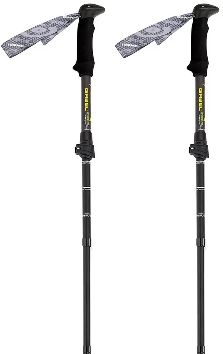 Gabel Mont Blanc 4.0 Stokken Zilver 66-141 cm