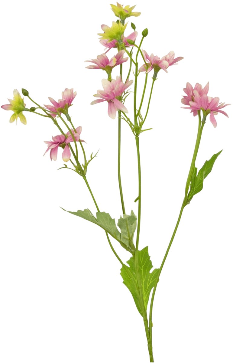 Easyplants | Kunstbloem Madelief 55 cm roze | Zijde | Nepbloemen | roze | Onderhoudsvrij | Kant-en-klaar