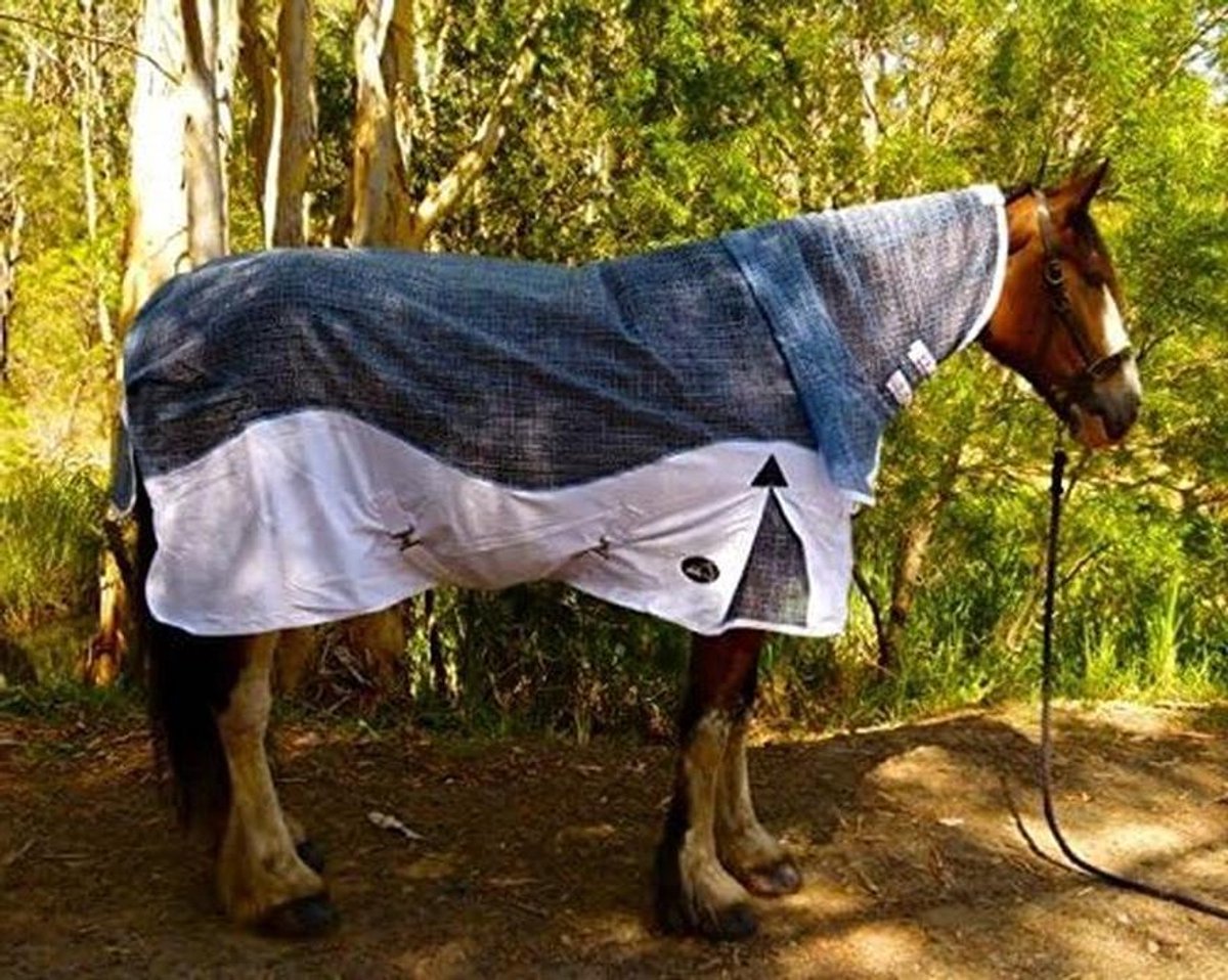 Vliegendeken met Vaste Hals - Insectendeken Paard - Bescherming tegen Insecten - UV-werend Gaas - 195 cm - Blauw