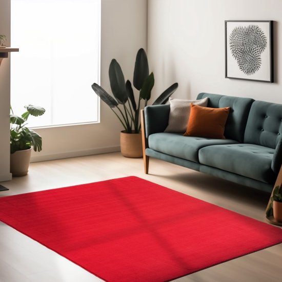 Binnenkleed voor de woonkamer, duurzaam en slijtvast, comfortabel, voor dagelijks gebruik, bohemian stijl 240x340 cm