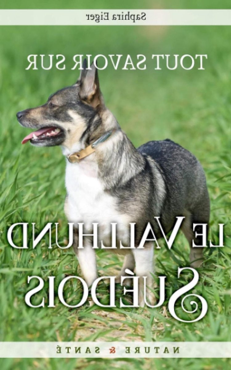 Vallhund Suédois Gids - Zweedse Vallhond Boek - Hondenkennis Opdoen - Rasgeschiedenis & Verzorging - 65 pagina's - Niet gespecificeerd