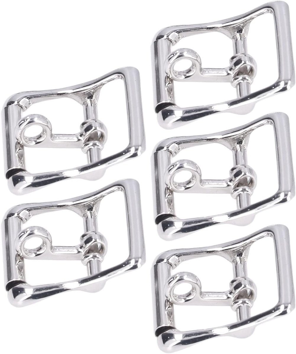 Gürtelschnallen Set van 10, DIY Zinklegering Glanz, Duurzaam voor Camping, Lederhandwerk en Huisdierenaccessoires