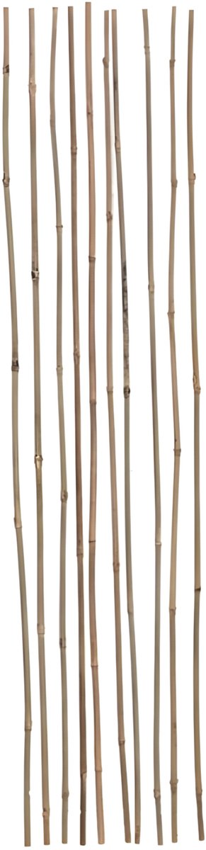 Gerimport Plantenstokken - 10x stuks - bamboe - 90 cm - plantensteun / tonkinstokken