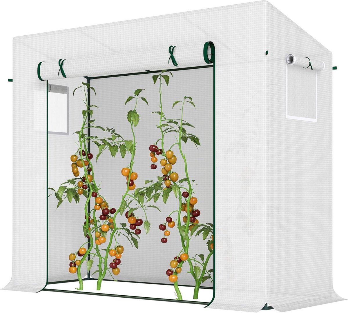 Broeikas voor Planten - Balkonkas Kweekkas - Groenten en Bloemen Kweken - UV-bestendige PE Hoes