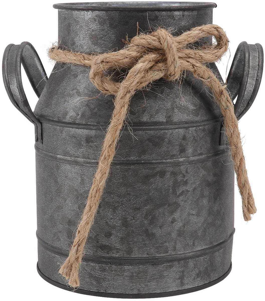 Dailygoods - Vintage Bloemenvaas - Landelijke Stijl - Decoratieve Metalen Pot - 15 x 14 x 9 cm - Cactus Plantenbak - Perfect voor Woonkamer en Tuin