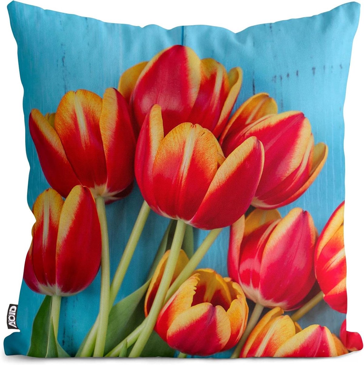 Kussenhoes Polyester - Decoratief Kussen - Buiten Gebruik - Waterdicht Weerbestendig - 60 x 60 cm - Veelkleurig
