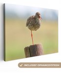 PDP.ProductImage.Thumb.Image.srtText 17