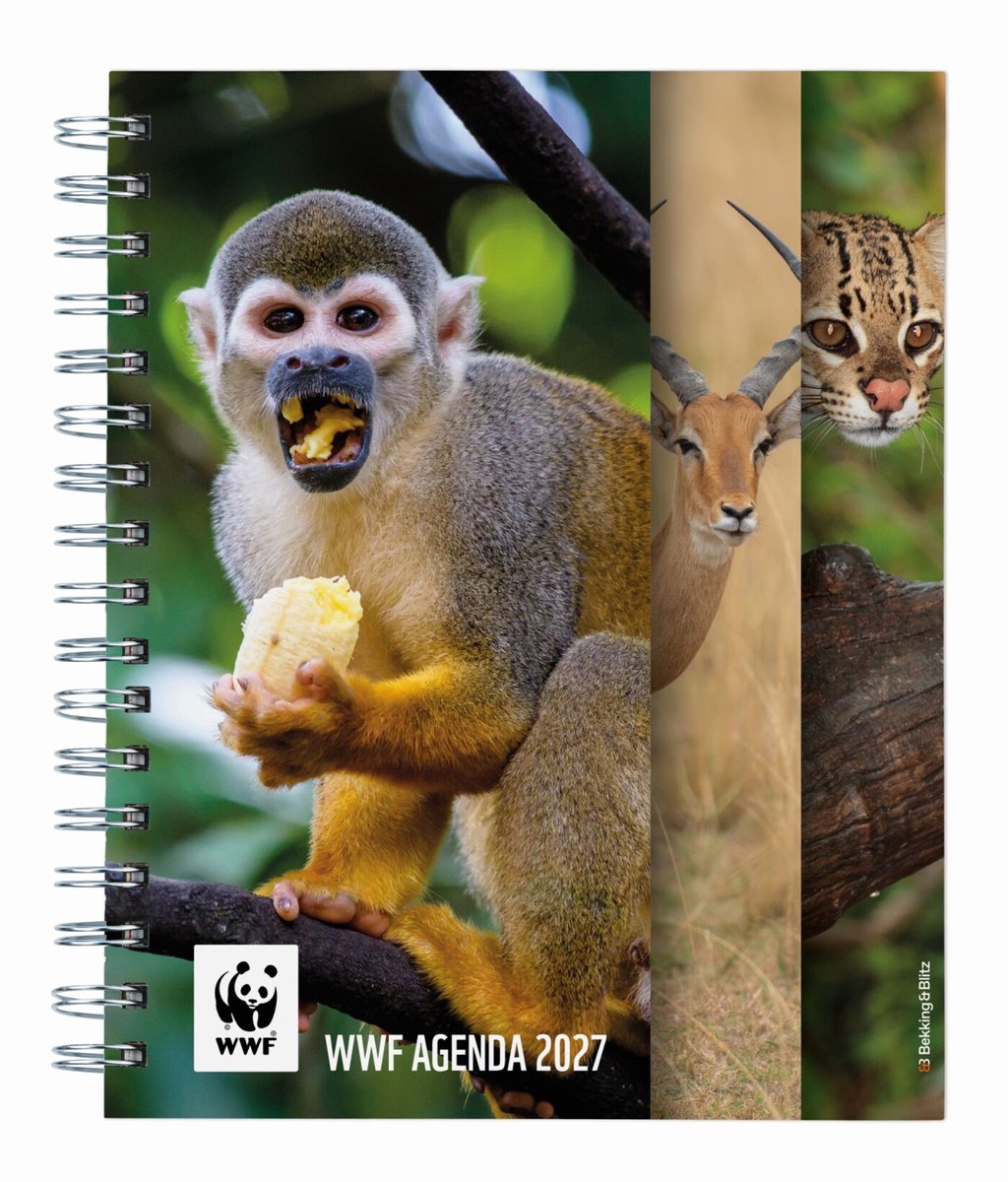 WWF Weekagenda 2027