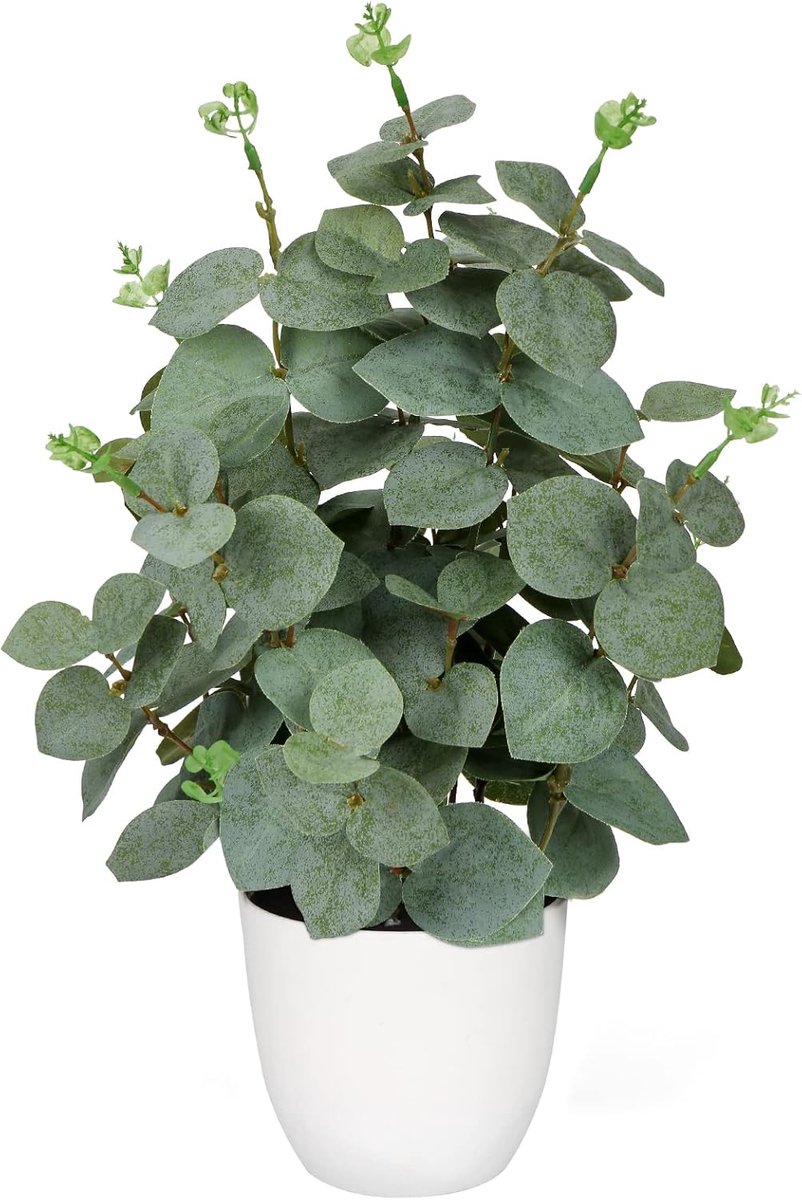 Kunstmatige Eucalyptus Plant 36 cm - Realistische Groene Plant in Witte Pot - Decoratieve 