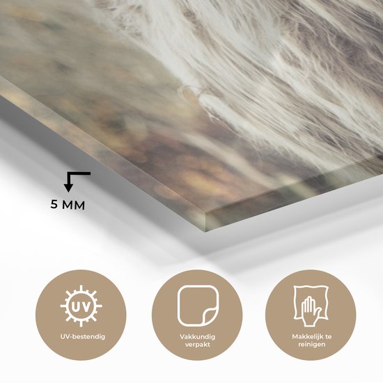 Detailopname van 5 mm dik glas en iconen voor UV-bestendigheid, verpakking en reinigingsgemak.