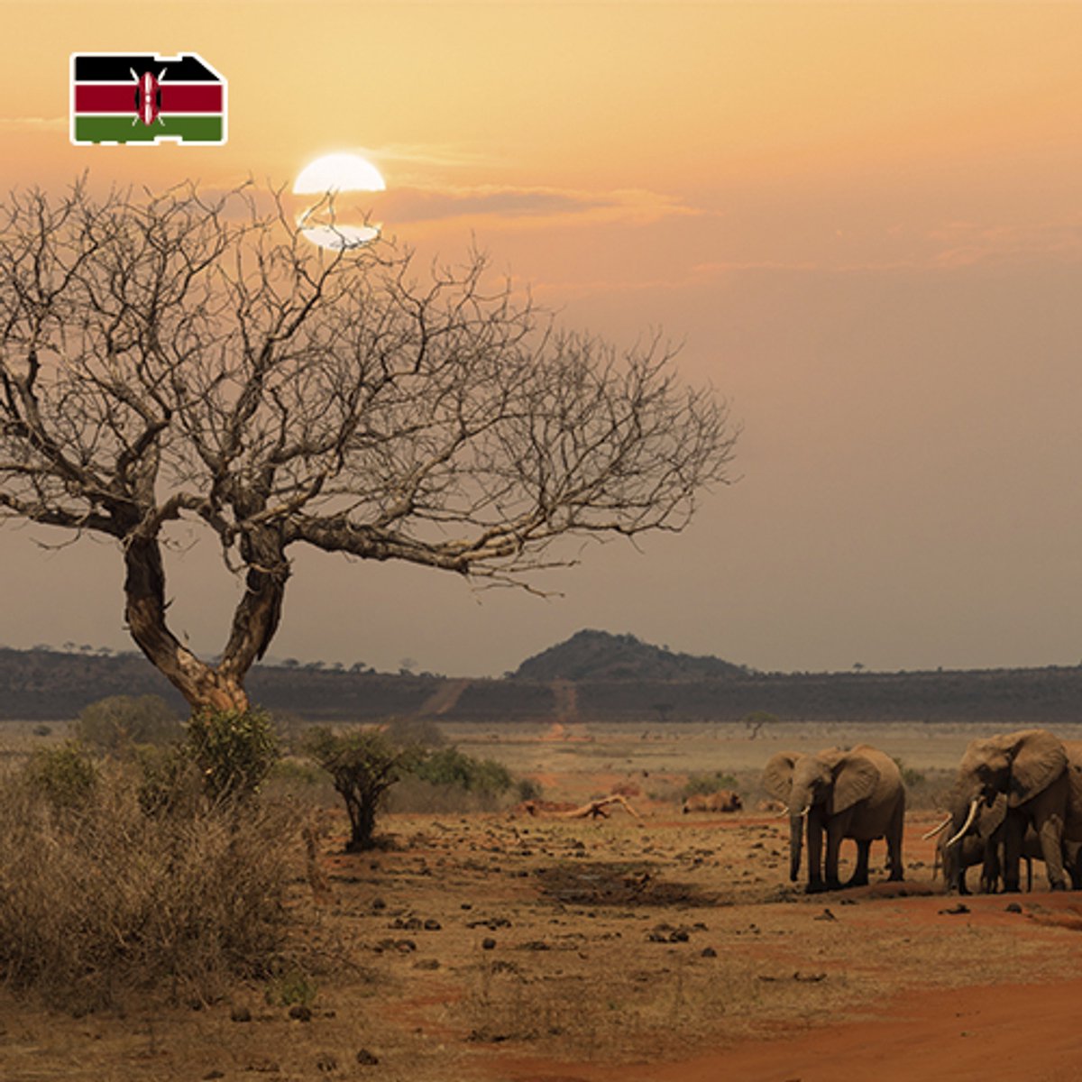 InternationalSIM Data Simkaart Kenia - 1 GB - 7 dagen