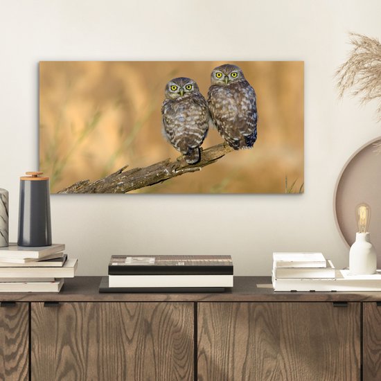 Décoration murale Métal - Peinture Aluminium Industrielle - Couple de hiboux - 40x20 cm - Dibond - Photo sur aluminium - Décoration murale industrielle - Pour le salon / chambre