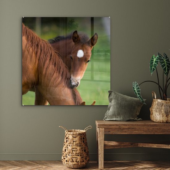 ® Glasschilderij 90x90 cm - Schilderij acrylglas - Paarden - Gras - Portret - Foto op glas - Muurdecoratie woonkamer - Wanddecoratie slaapkamer - Schilderijen