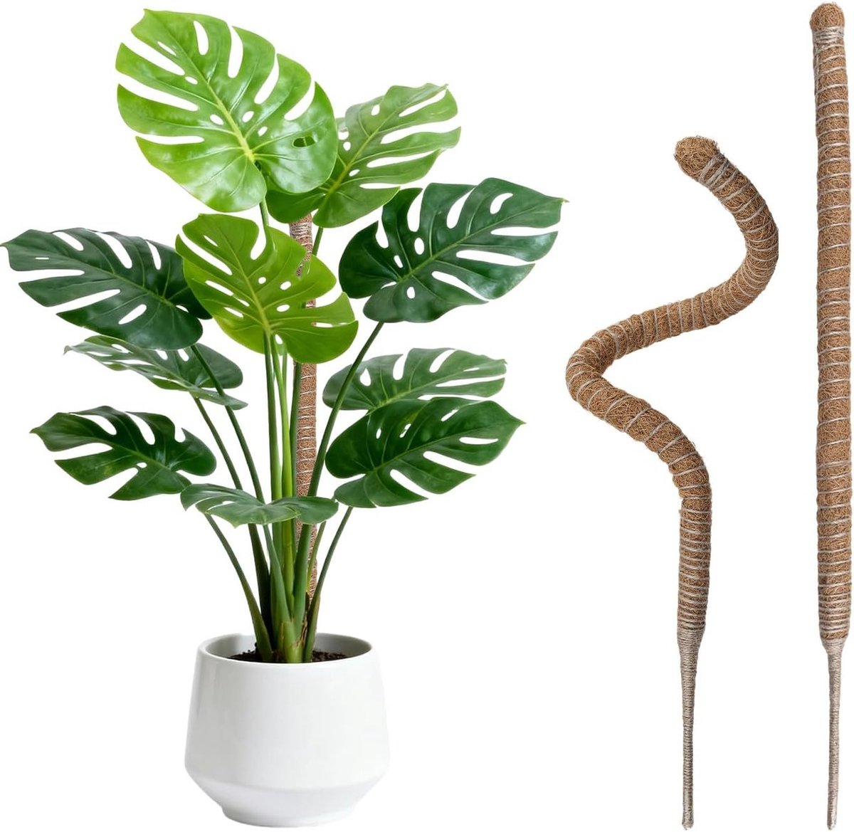 2-delige mospaal voor Monstera, kokosvezel, klimondersteuning, plantstick, 80 cm, ideaal voor klimplanten en groenblijvende planten