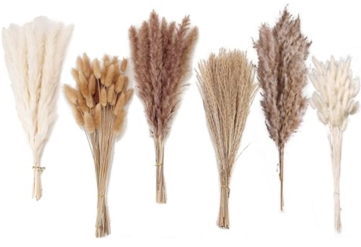 Droog Pampasgrasdecor 120 Stuks - Gemengd Boeket met Konijnenstaarten en Rietgrassen voor Bruiloft, Boho Tafeldecoratie, Rustieke Boerderijfeest - 45cm