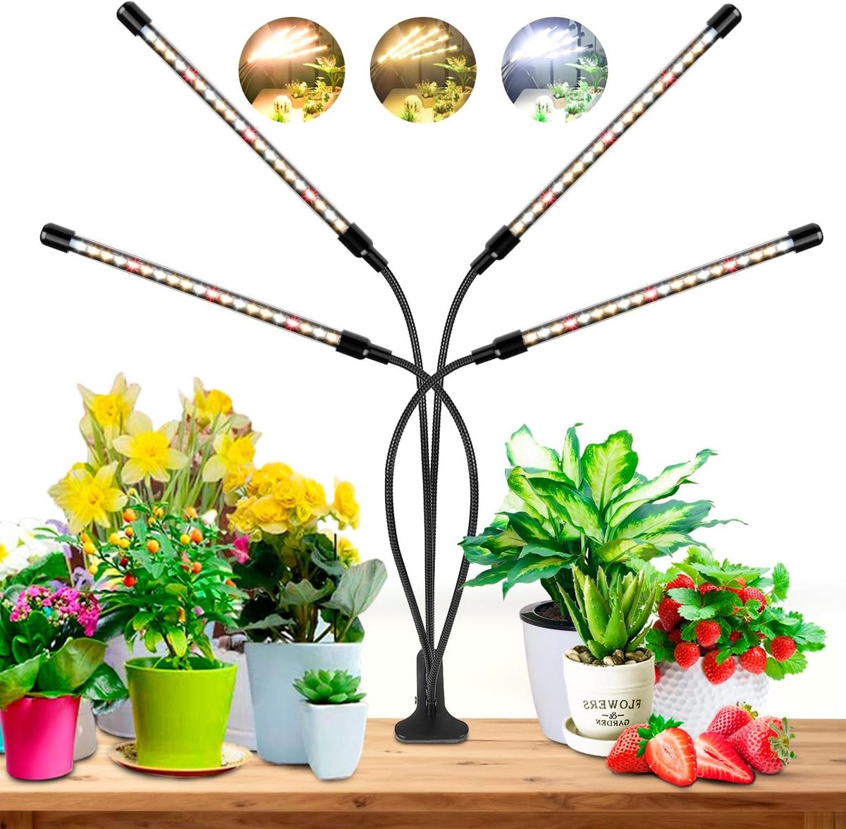 Groeilamp - Kweeklamp - Growlight - Daglicht
