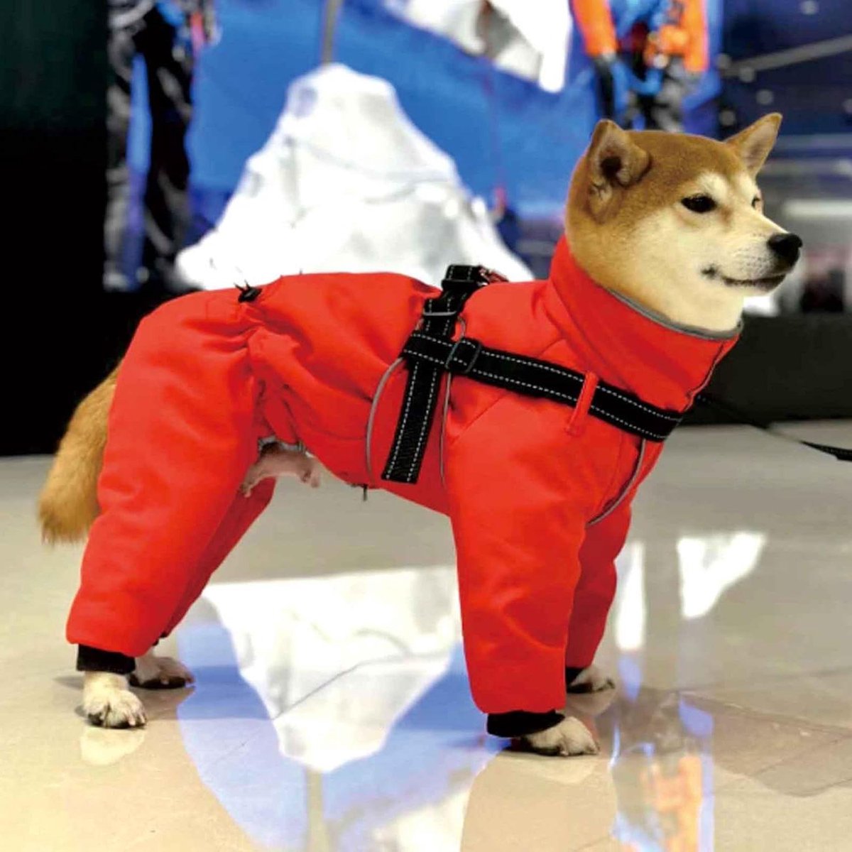 Warme Hondenjas - Hondenkleding - Bescherming tegen kou - Geïntegreerd harnas - Maat XL - Rood