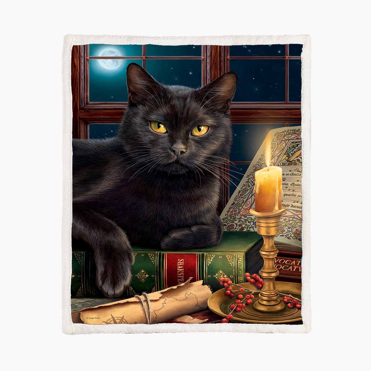 The Coloured House Katten Fleece Deken 150*200cm Black Cat By Candlelight Multicolor