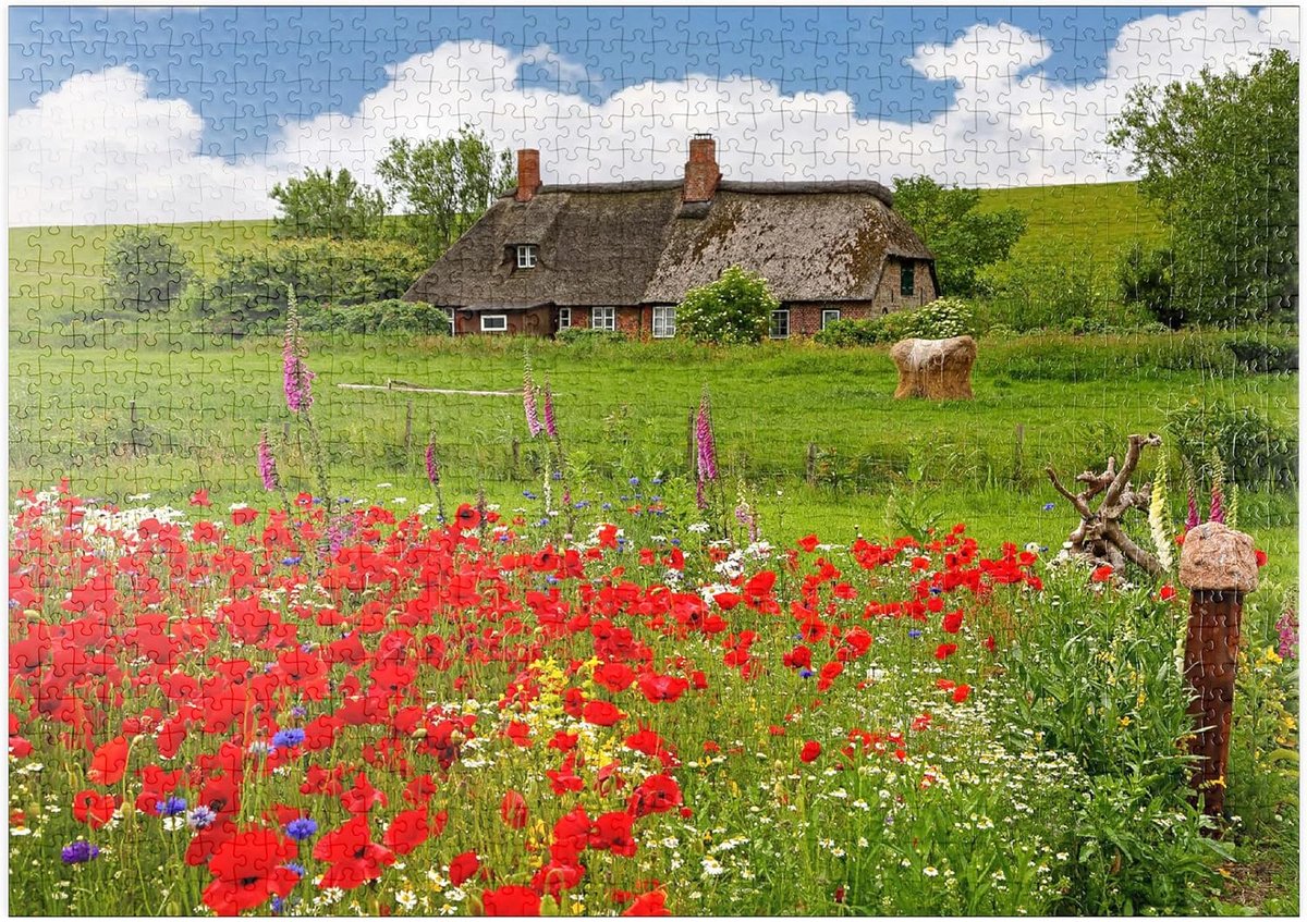 Puzzel 1000 Stukjes - Landschap Puzzel - Ontspannend Tijdverdrijf - Gedetailleerd Afgebeeld - 68x48 cm - Zomerse Kleuren