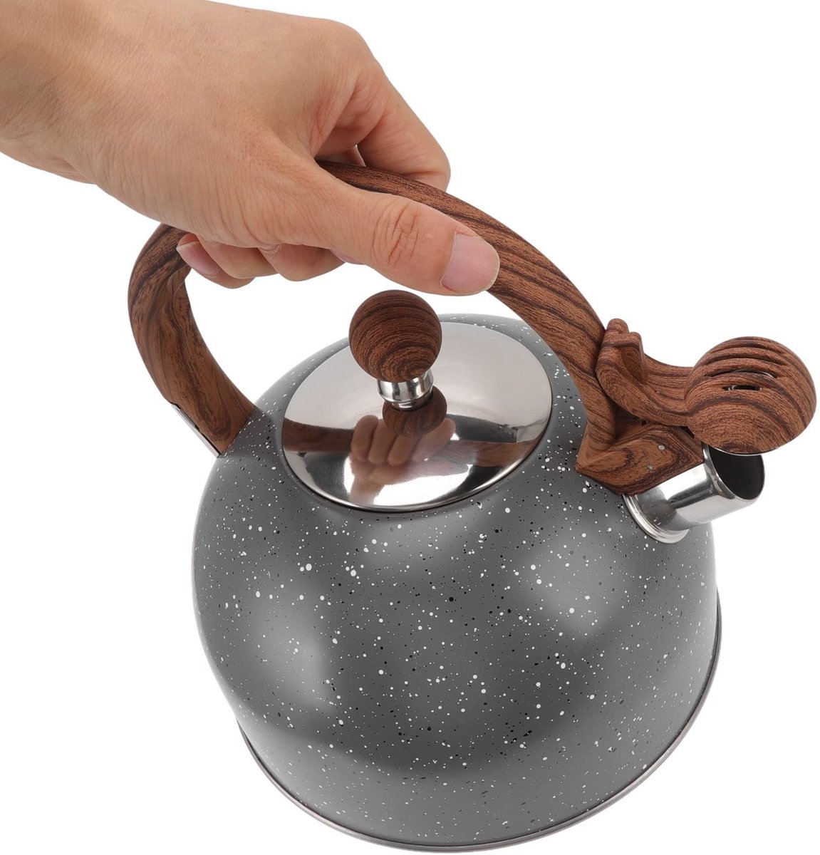 Dailygoods- Fluitketel 2,5 L - Roestvrij Staal - Helder Fluitje - Ergonomische Handgreep - Snelle Verwarming - Warmtebehoud - Waterkoker