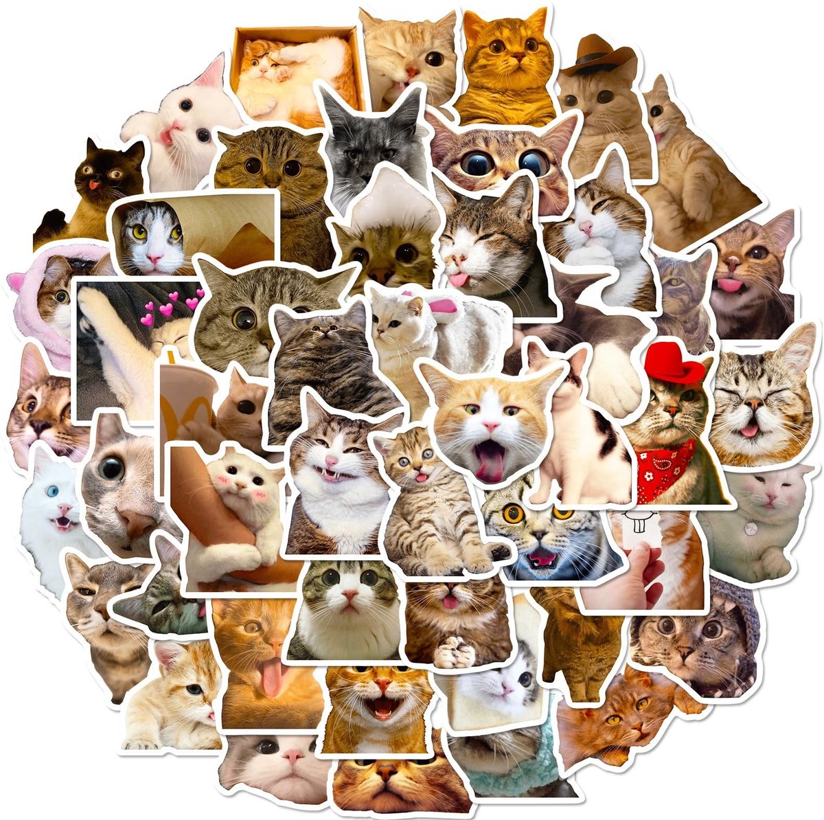 Dailygoods- Kattenstickers 100 stuks - Grappige/schattige stickers - Waterdichte vinylstickers - Voor volwassenen/jongeren - Perfect voor bullet journal