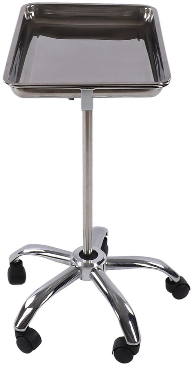 Dailygoods- Salonblad Hefbaar - Verstelbaar - Roestvrij Staal - Wielen - Verplaatsbaar - Stabiele Ondersteuning - Salontrolley