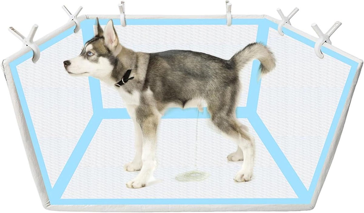 Honden Toilet - Plasbak Puppy - Binnen Zindelijk Maken - Waterdichte Hoge Muren - 40 x 21 x 13 cm