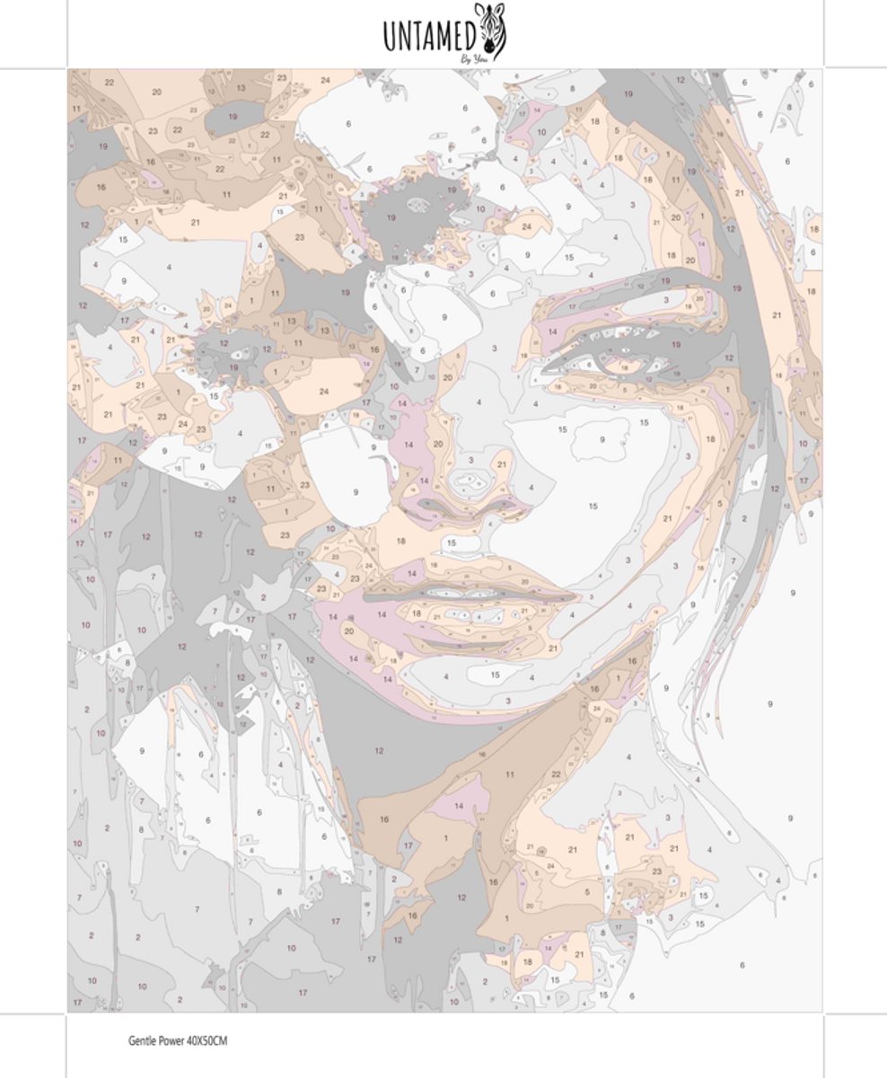 MET FRAME - Paint by numbers Volwassenen – schilderen op nummer – Creatieve hobby – Ontspanning thuis – Cadeau idee – Compleet pakket – DIY decoratie – Portret vrouw bloemen – Gentle Power — afbeelding 6