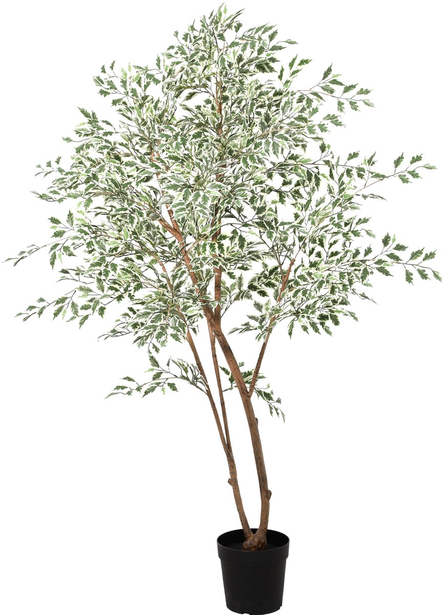 Florafy Kunstplant Ficus Benjamina Variegata 185cm - Kunstplanten voor binnen - Onderhoudsvrij Groen