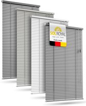Sol Royal JA2 - Aluminium Jaloezie Zonder Boren 60x175 cm incl. Klemsteunen - Privacy- & Zonwering Binnen voor Ramen 60 cm breed, 25 mm Lamellen - Glanzend Zilver