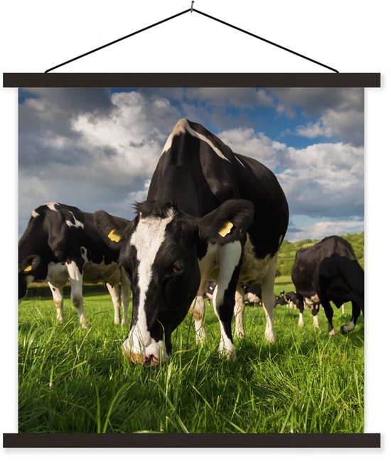 Porte-affiche avec affiche - Affiche scolaire - Vaches - Nature - Herbe - Animaux - 40x40 cm - Lattes noires