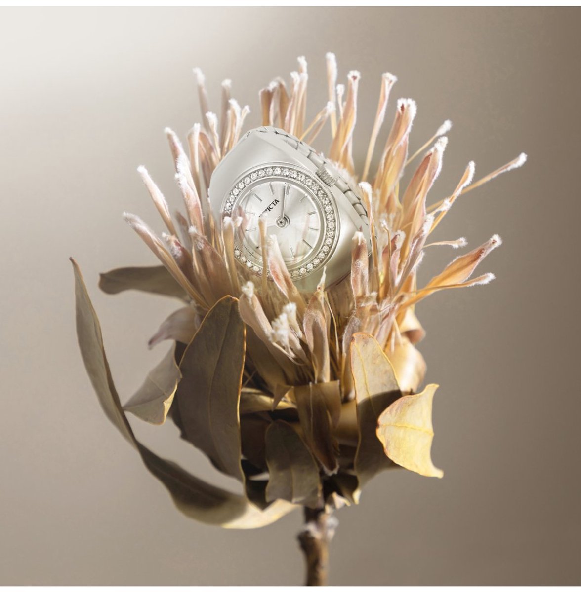 Invicta Mini 48943 Dames Horloge - Waterdicht - Analoog - Quartz Uurwerk - Roestvrij Staal met zilveren Wijzerplaat - 17mm