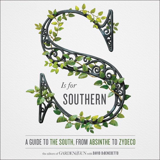 S is for Southern - cover