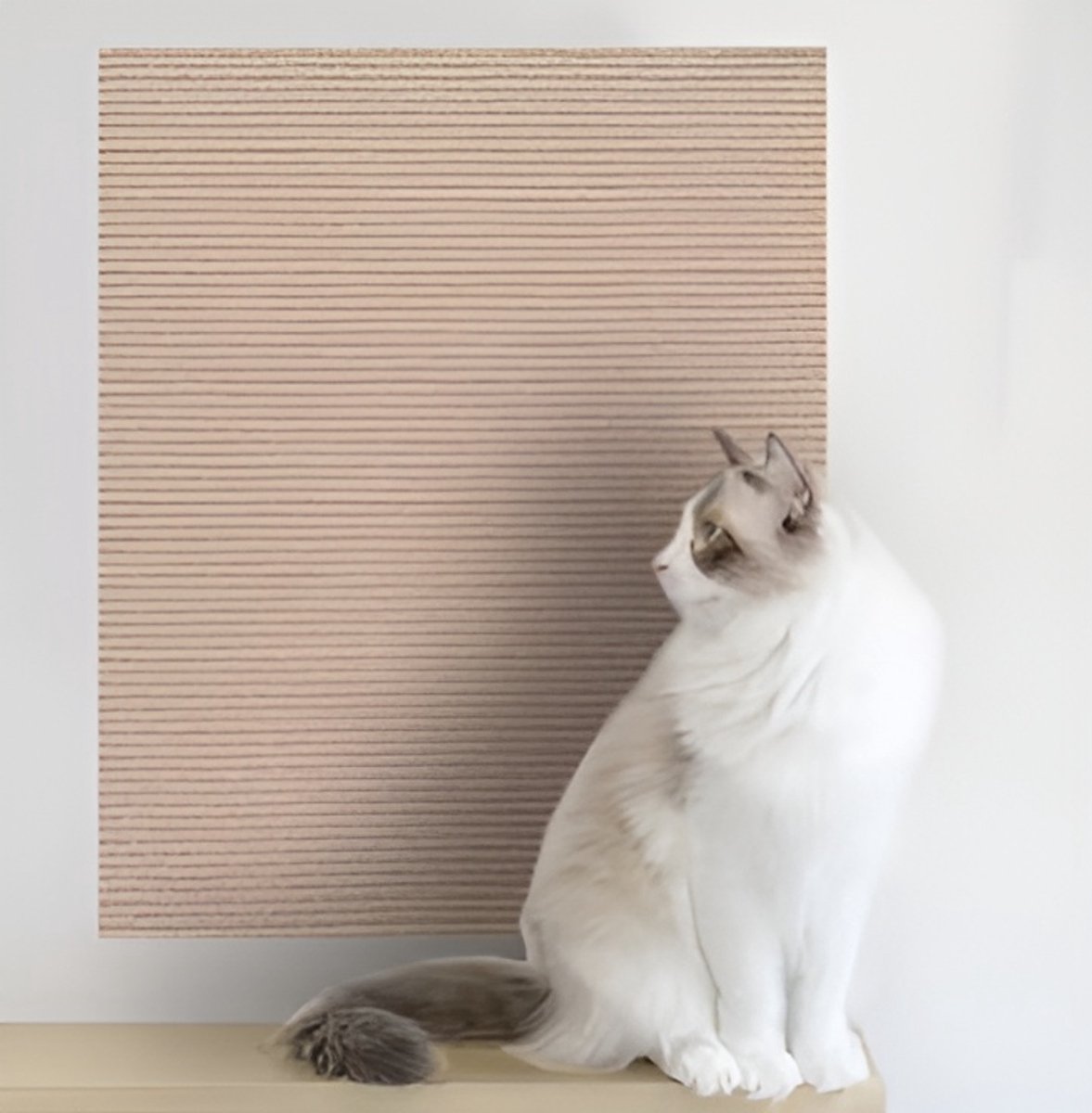 katten krabmat - Bescherming van meubels - Voor banken en stoelen - Krabbescherming 40x100cm Beige