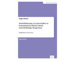 Immobilisierung von Quecksilber in kontaminierten Böden mittels schwefelhaltiger Reagenzien