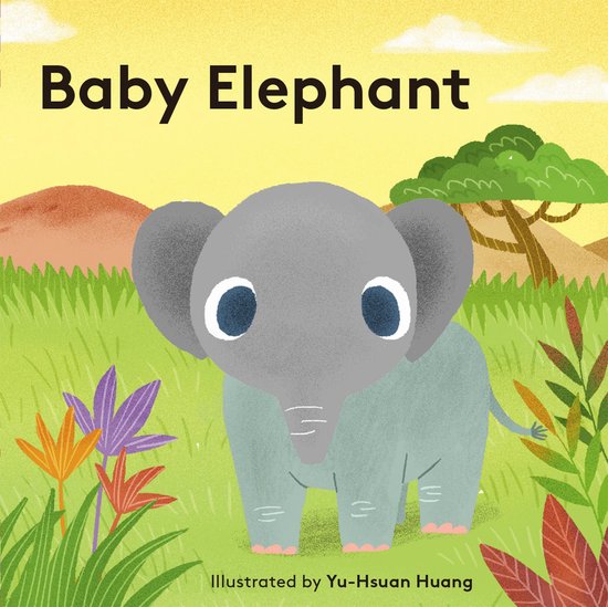 Baby Elephant - cover