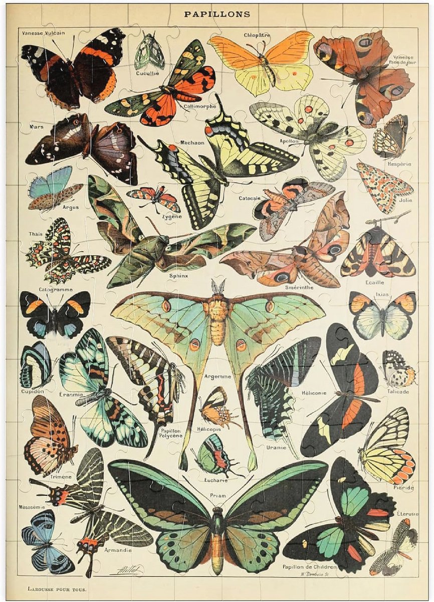 Puzzel van 100 Stukjes - Vintage Vlinders Poster - Kleurrijke Papillons Ideeën voor Puzzelplezier