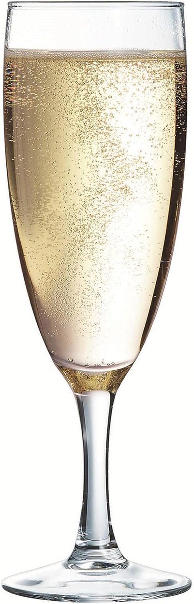 Champagneglazen 17 cl - 6 stuks Elegant Design voor Professioneel Gebruik