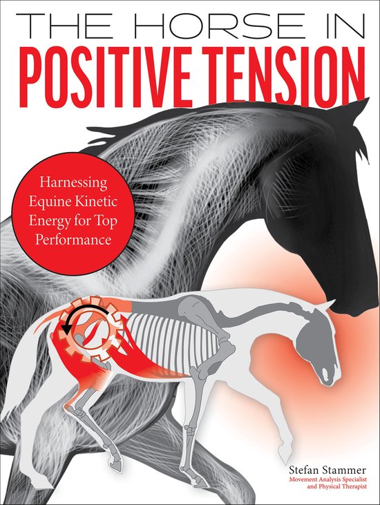 Horse in Positive Tension - cover